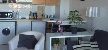 Location appartement 2 pièces 34 m²