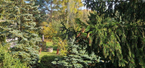 Renovierte 3 Zimmerwohnung mit Garten in Döbern