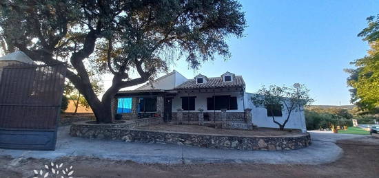 Casa o chalet independiente en venta en  Poligono Dehesilla Vieja