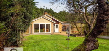 3 bed detached bungalow for sale