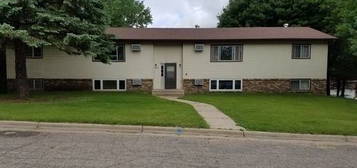 1003 16th St NE Unit 3, Willmar, MN 56201