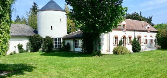 Dpt Loiret (45), SAINT MAURICE SUR FESSARD, Propriete P10 de 260 m² - Terrain de 1,40 Ha