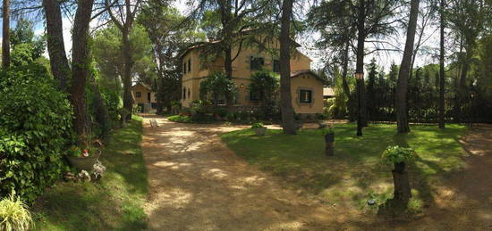 Alquiler de  Casa o chalet independiente en avenida de Rosario Manzaneque, 10