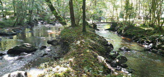 Maison forêt rivière