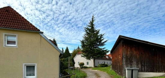 3 ZIMMER ERDGESCHOSSWOHNUNG MIT TERRASSE IN GREIN AN DER DONAU