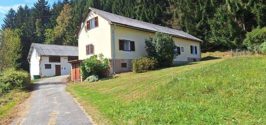 Zentrale Alleinlage - Landwirtschaft mit Einfamilienhaus in Südlage, Nebengebäude, Garage, Stallgebäude und Wald zu verkaufen