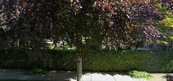 9133 Sills Ave #80, Richmond, BC V6Y 4H6