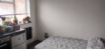 1 bed flat to rent