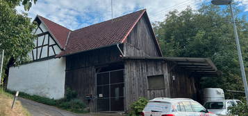 PFERDE u. NUTZTIERHALTER TRAUM! Immobilienpaket mit Urigem Bauernhaus, idyllische Weiden, Reitplatz