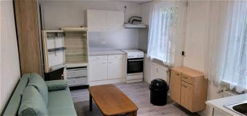 1 vollmöbliertes Zimmer/Appartement mit Dusche, WC und Mini Küche