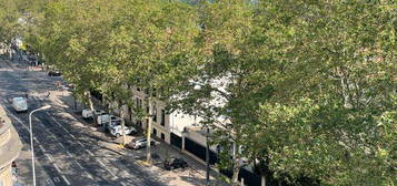 Appartement 3 pièces Lyon 6 Parc Tête d'Or Bvd des Belges et Lycée du Parc sans vis à vis