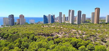 Benidorm