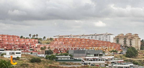 Algeciras