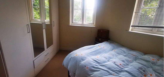 1 bed flat to rent