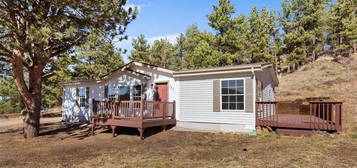 153 Circle Dr, Florissant, CO 80816