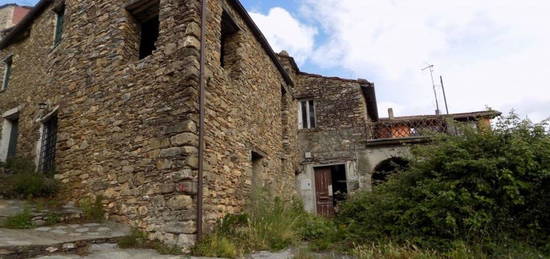 Proprietà rustica in vendita in frazione Ligo s.n.c