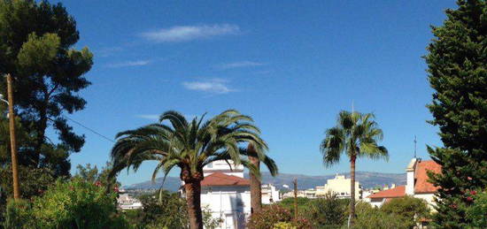 Juan les Pins 2p climatisé Piscine