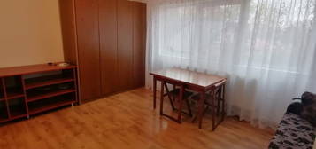 Apartament 1 camera Manta Rosie - Frumoasa