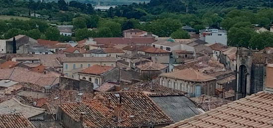 T3 avec vue, très lumineux, centre de Clermont L'Hérault