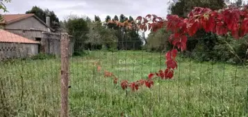 Finca r&#xFA;stica en Nar&#xF3;n