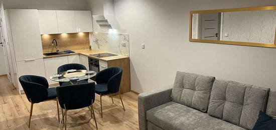 Apartament z miejscem garażowym - do wynajęcia