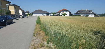 Amstetten - Schönes Haus in Holzriegelbauweise mit Grundstück