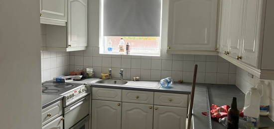 1 bed flat to rent