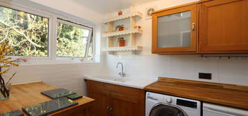 1 bed flat to rent