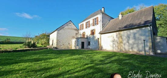 Ancien moulin réhabilité de 150m² + maison de 90m² avec prairies - proche Vendôme et gare TGV