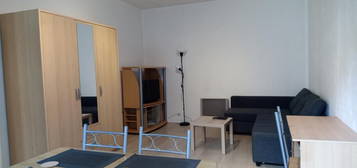 Location appartement 1 pièce 45 m²