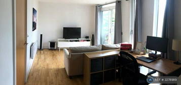 1 bedroom flat share