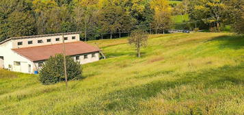 Casa di paese in vendita in via Zucchi, 367