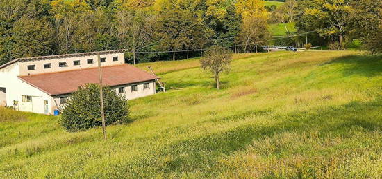 Casa di paese in vendita in via Zucchi, 367