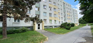 Pronájem bytu 2+1 50 m², Okružní,