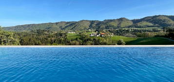 Alleinlage, vom Infinity Pool die Ruhe und Landschaft genießen (eigener Weingarten)