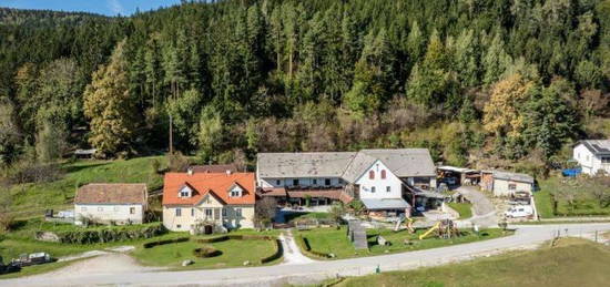 Buschenschank Scheiklhof! Liegenschaft mit ca. 1.100 m² Nutzfläche auf ca. 6 Hektar