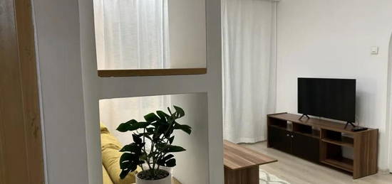 Apartament 2 camere zona Timpuri  Noi - Tineretului