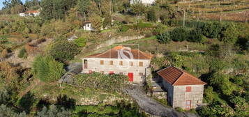 Quinta Da Pedra - São Simão, Amarante