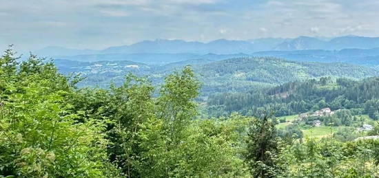 KARAWANKEN- UND WÖRTHERSEEBLICK IN SONNENLAGE | GARTENPARADIES | GARAGE | TRAUMHAFTE AUSSICHTSLAGE