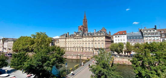 Strasbourg Krutenau - Appartement 130m² - 5 pièces