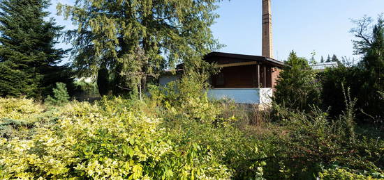 Einfamilienhaus im Bungalowstil mit grünem Garten