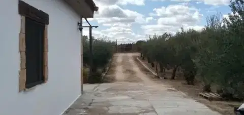 Finca r&#xFA;stica en La Puebla del R&#xED;o