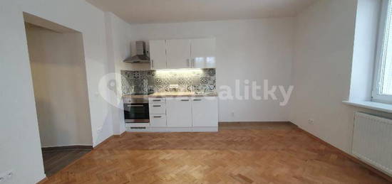 Pronájem bytu 1+kk 45 m², U Stojanu, Praha