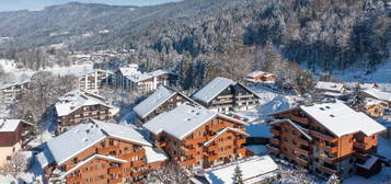 74300 Les Carroz d'Arâches .Appartement de Ski a vendre. SH 38m². 2 ch