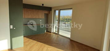 Pronájem bytu 2+kk 54 m², F. X. Riepla, Ostrava