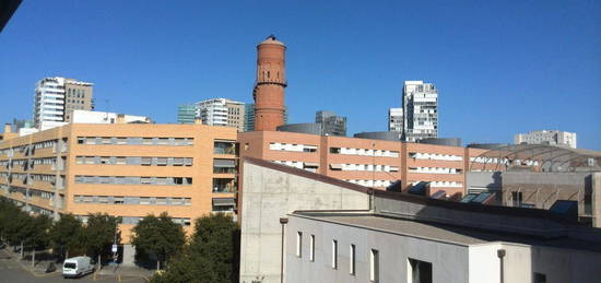 Alquiler de Piso en calle de Ramon Turró, 321