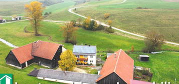 Hofstelle mit Einfamilienhaus und praktischen Nebengebäuden in Seubersdorf- Ittelhofen