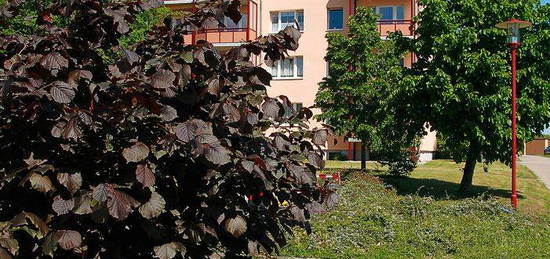 Schöne 2-Raum-Wohnung mit Balkon am Stadtrand