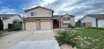 1135 Marsh Hawk Dr, Colorado Springs, CO 80911