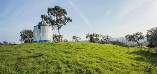 Quinta com Moinho, São Bartolomeu da Serra